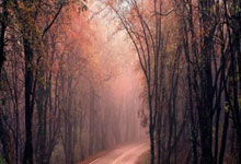 利物浦转会：买左翼利好涨薪留右翼 引锋线王牌遇阻碍.