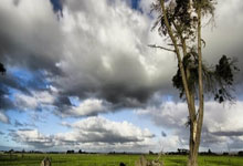 必赢：[英超]阿尔瓦雷斯造点 亲自主罚一蹴而就.