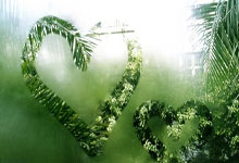 [澳网]战胜鲁内 辛纳晋级澳网男单八强.